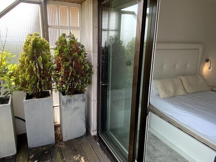 산세바스티안 Avenida Vt - Vivienda Turistica 아파트 외부 사진